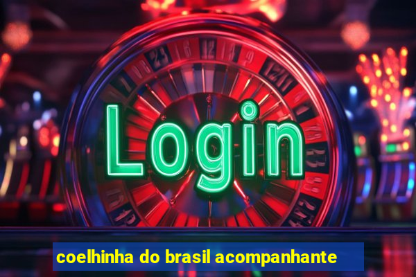 coelhinha do brasil acompanhante